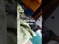 Pijat Majikan Dulu