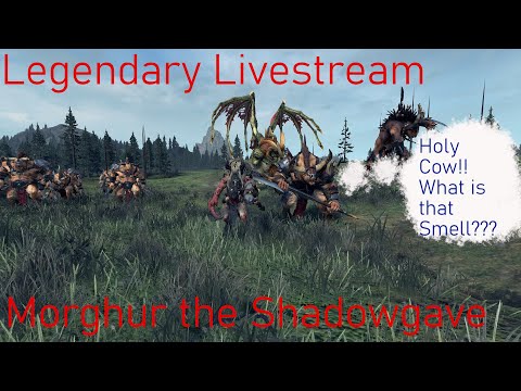 Morghur the Shadowgave Legendary Mortal Empire Livestream - Total War Warhammer 2