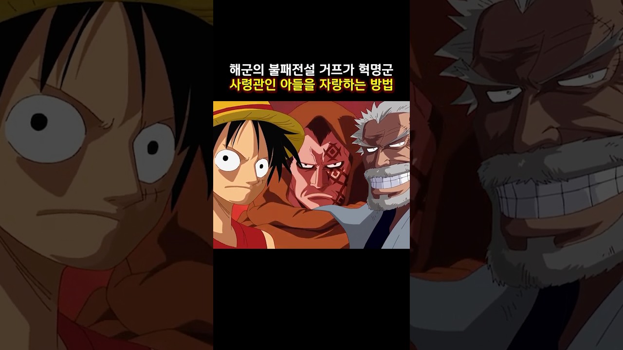 해군의 불패전설 거프가 혁명군 사령관인 아들을 자랑하는 방법  #onepiece  #원피스