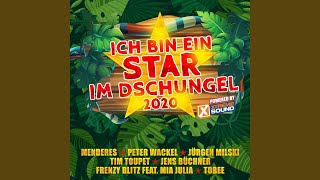 Wir sind wir (Partystyle Après Ski Version)