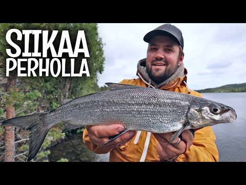 KALASSA MAAILMAN PARHAALLA SIIKAPAIKALLA