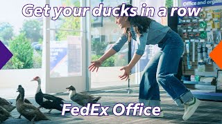 Get your ducks in a row with professional printing, packing, and shipping from FedEx Office