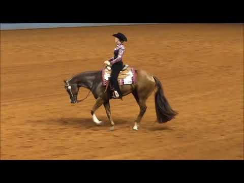 2016 AQHYA World Horsemanship
