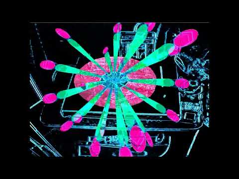 rashradio - a bird's dream (with a lil' visualization)