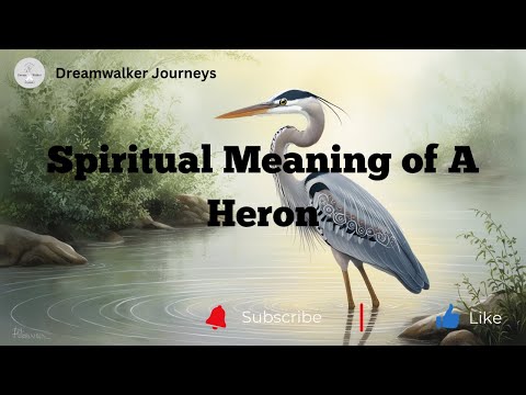 Spiritual Meaning of a Heron | Heron Symbolism