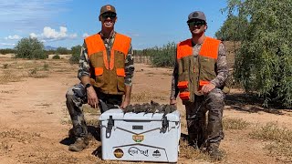 Dove Hunting the Arizona Desert