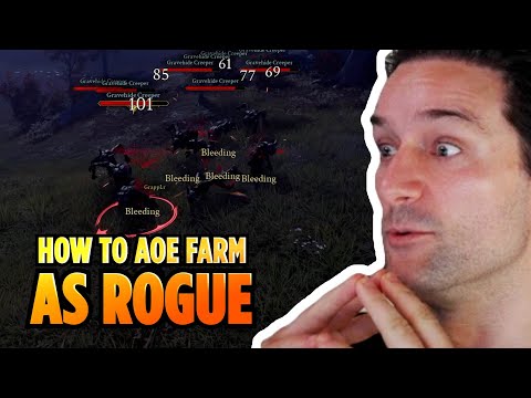 ⚔️ Solo Rogues Level Faster HERE! 🏃‍♂️💨 | Ashes of Creation