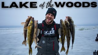 First Ice on Lake of the Woods (CRAZY Action) - Locations, Presentations, & Tips