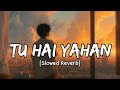 TU HAI YAHAN SLOWED REVERB AKPANKU TU HAI KAHAN REMAKE INSTAGRAM TRENDING SONG SAD SONG