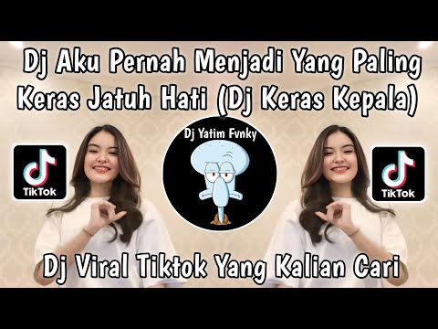 DJ AKU PERNAH MENJADI YANG PALING KERAS JATUH HATI | DJ KERAS KEPALA BY ALKA FLOW VIRAL TIKTOK 2024!