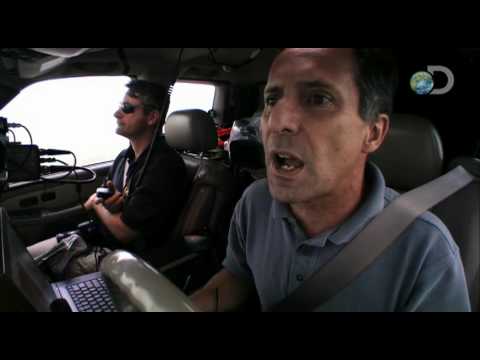 Inside the Bear Cage