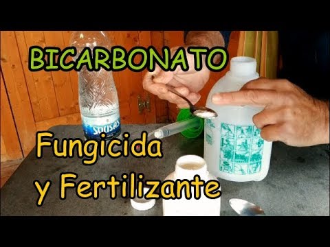 , title : 'Bicarbonato POTÁSICO | FUNGICIDA contra Hongos Oidio Mildiu Botrytis |  FERTILIZANTE'