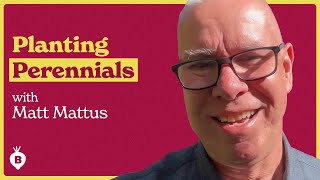 Growing Perennial Plants with Matt Mattus | The Beet