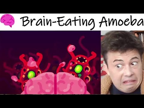 American Reacts The Most Horrible Parasite: Brain Eating Amoeba