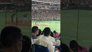 村神さまによるホームランでございます　#侍ジャパン  ＃村上