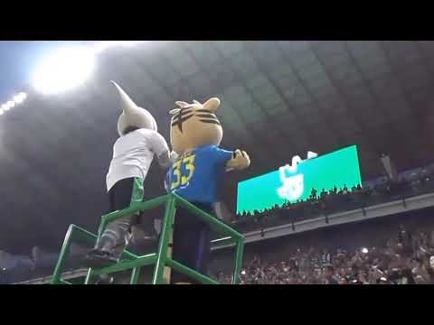 Bonek viking satu hati