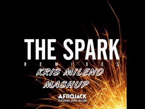 Afrojack vs. Blasterjaxx - The Titan (Kris Mileno Mashup)
