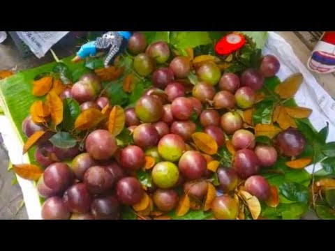 Phnom Penh Street Food - Walk Around Market Village Food In Phnom Penh Video