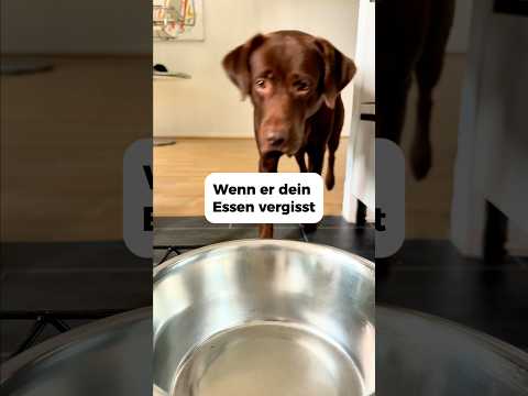 Fabi vergisst MEIN Essen 🥺😤