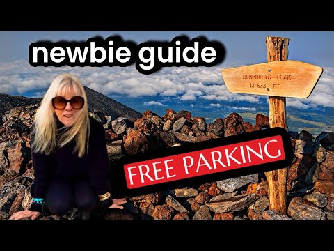 What Happened When I Parked Here in Summer