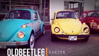 Volkswagen Old Beetle