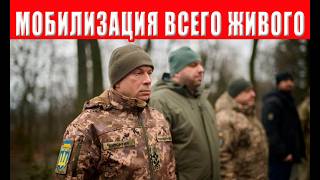 Полная мобилизация с 1 января: ТЦК готовятся к тотальной охоте на мужчин по в?