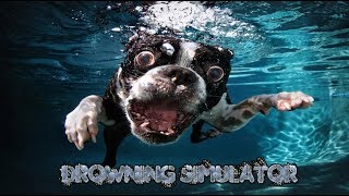 Drowning Simulator! - Sortie En Mer (PC)