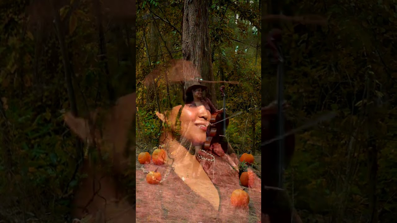 Promotional video thumbnail 2 for Eleonor Wilson | Wedding & Event Cellist