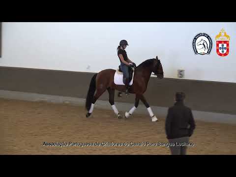 230417 1 Proj Ensino APSL&FEP - Mariana Ramos com Poeta