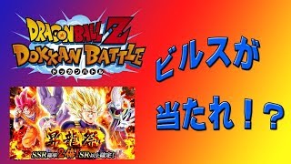 【ドッカンバトル】昇龍祭に『LRビルス』ゲットしたい!!