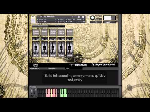 Free Download Country Guitars MULTiFORMAT-AUDiOSTRiKE