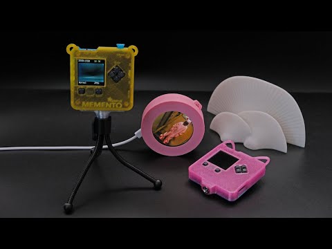 3D Hangouts – Memento Case, NeoPixel Fidget and Mushroom Shelves