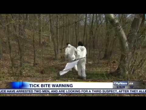 Video: Experts warning about bad tick season