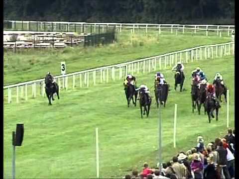 Galopprennbahn Dresden, 02.09.2012 - 5.Rennen