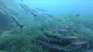 Menorca 20220812