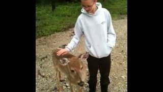 preview picture of video 'Petting a WILD deer!!! OMG'