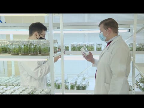 Три разработки гомельчан названы лучшими в проекте "100 идей для Беларуси" видео