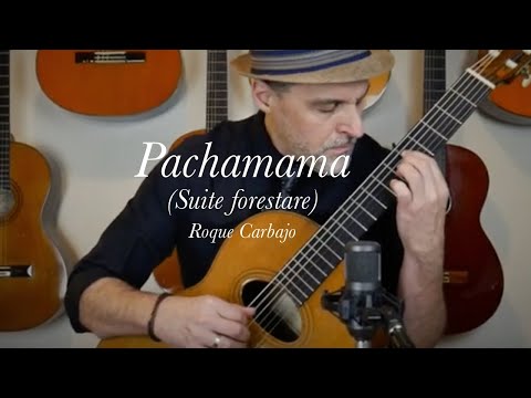 "Pachamama" composed by Roque Carbajo - Performed by Martin Verreault
