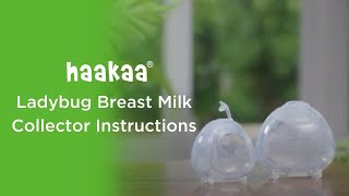 Haakaa Ladybug Silicone Breast Pump - 2 Pieces