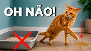 Por que seu gato parou de usar a caixa de areia de repente? 🐱🚽 (4 motivos)
