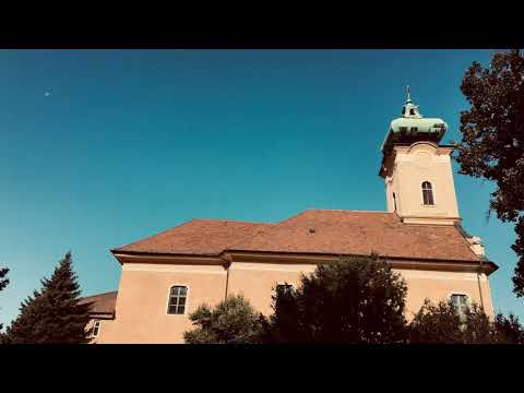 Termeszet-Nature Budaörs, Decathlon-Pite teljesítménytúra 2019.09.21