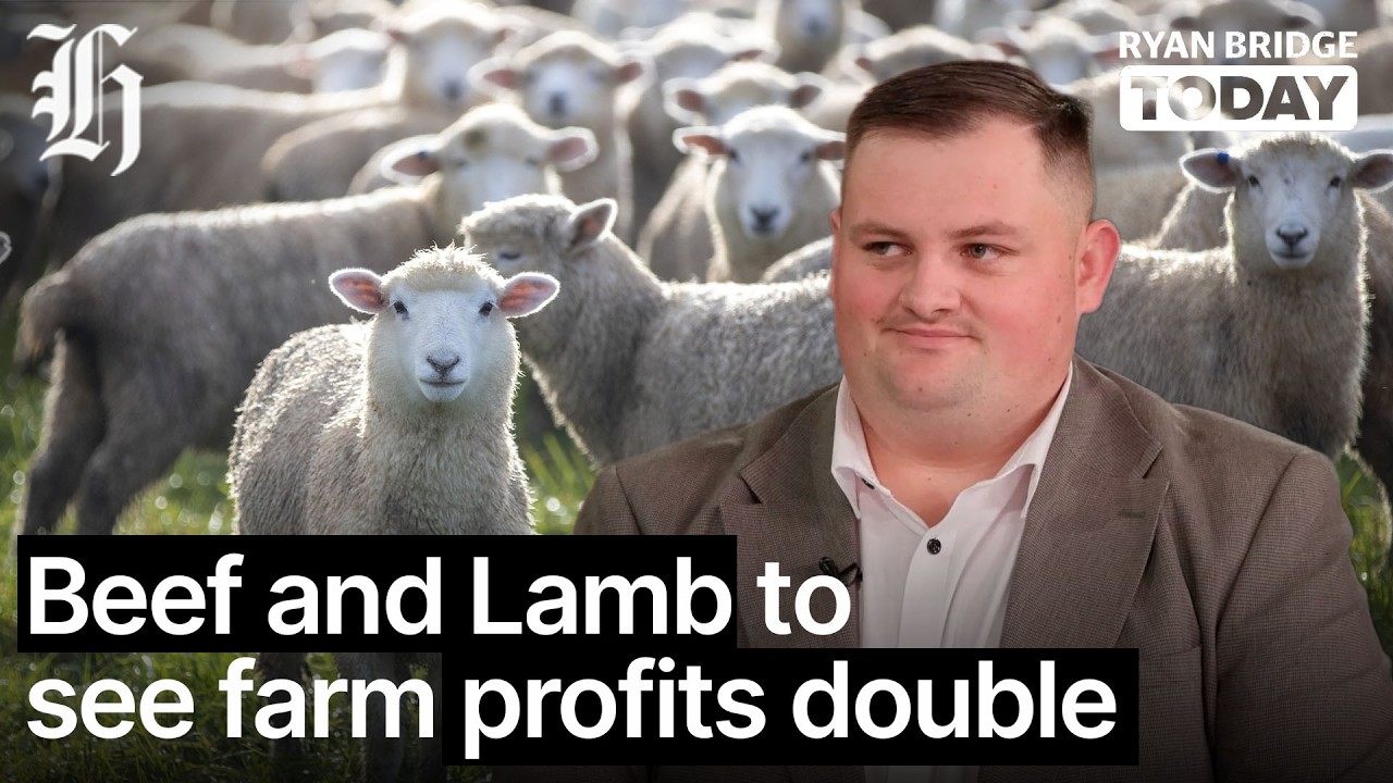 Why Kiwi beef and lamb farms are expecting to double profits this season | Ryan Bridge TODAY