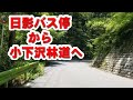 日影バス停から小下沢林道一番口までの行き方（高ドッケと思っている山は【熊笹山】でした）