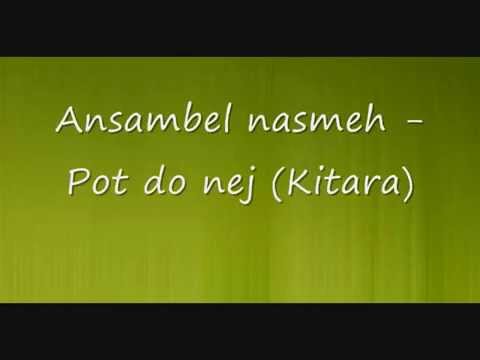 Ansambel nasmeh - Pot do nje (Kitara)
