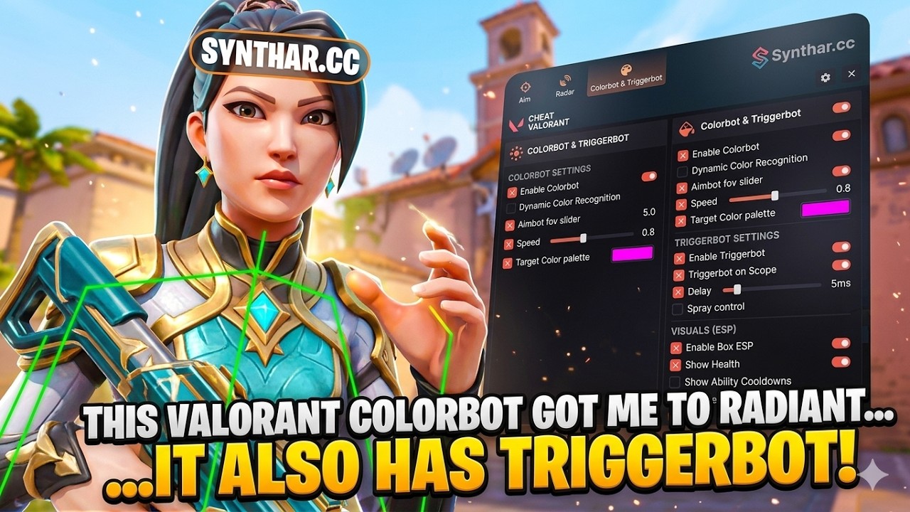 This Valorant Colorbot Got Me to Radiant... IT ALSO HAS TRIGGERBOT !