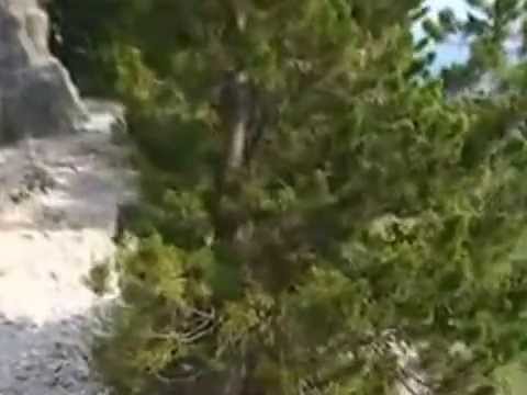 ONDA TG 21.06.2013 - EREMO CELESTINO V: PRESENTAZIONE RIAPERTURA