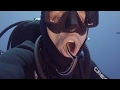 Cleaner Fish Swim Inside Divers Mouth