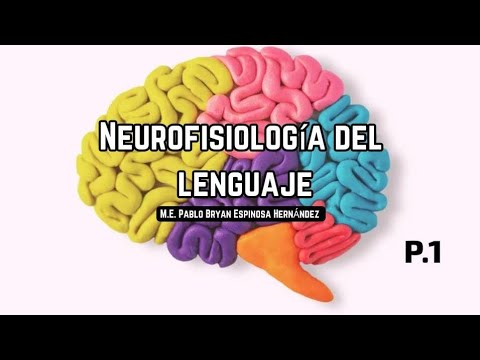 Neurofisiología básica del lenguaje parte 1