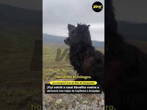 Arequipa: abuelita recupera a su perrita perdida tras 42 días de búsqueda