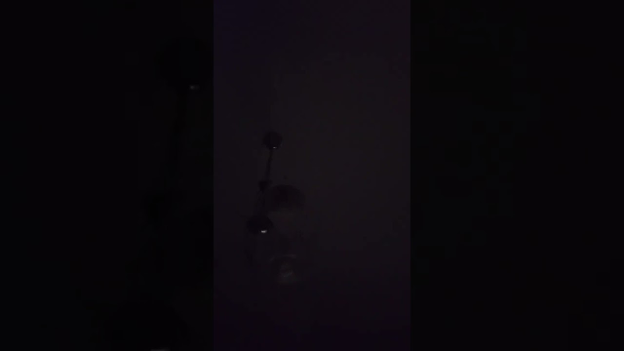 DIFFIDATO PERCHÉ A DATO IL SUO PARERE SU JN CARTONE ANIMATO PAZZIA PURA QUA
